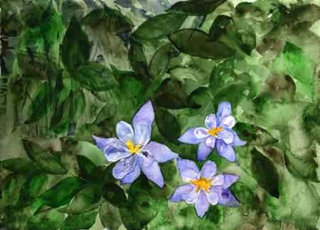 Click painting to link to Heron Dance web page